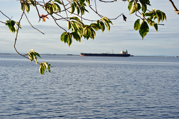 ship in the barbor