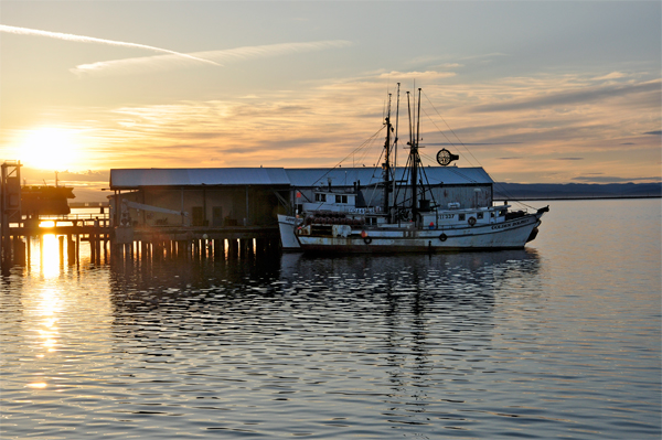 sailboat in the marina