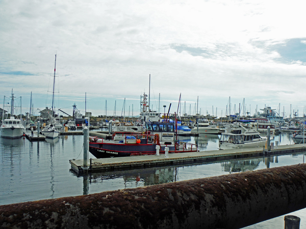sailboats in Port Angeles