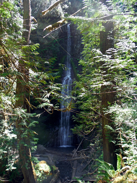 Marymere Falls - 90-feet tall