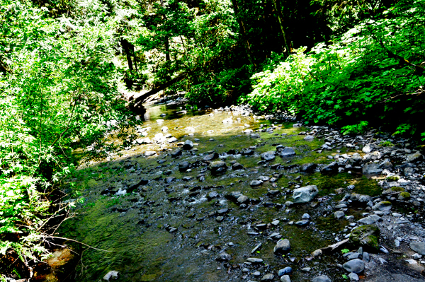 view from the bridge