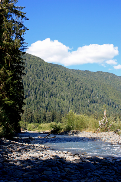 Hoh River