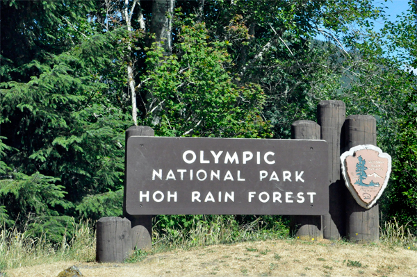 sign: Olympic National Park - Hoh Rain Forest