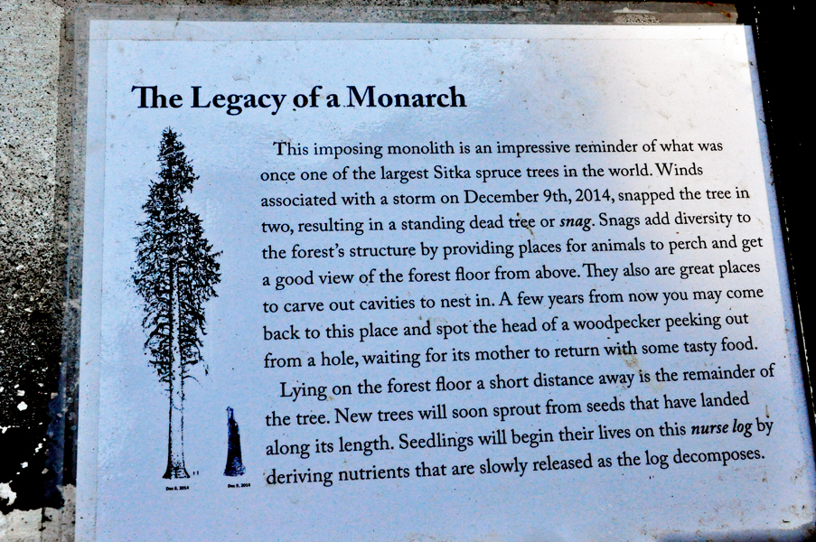 sign: Legacy of a fallen Monarch
