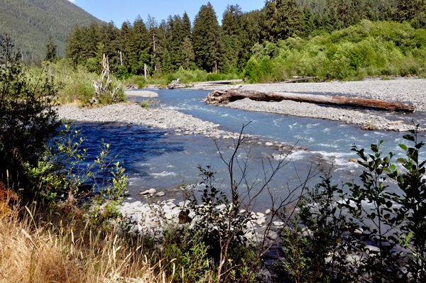 the Hoh River