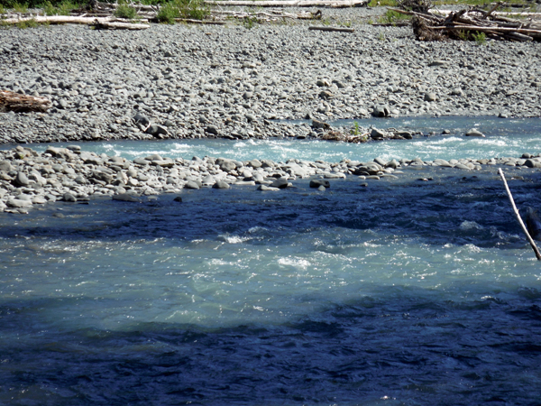the Hoh River
