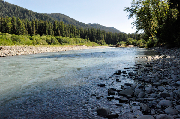 the Hoh River