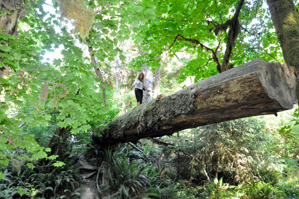 Ilse walked the tree