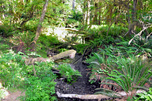 a small stream