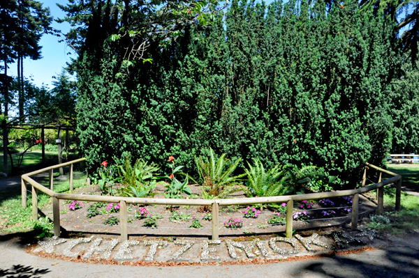 flower bed at Chetzemoka Park 