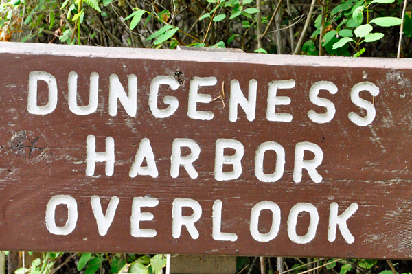sign: Dungeness Harbor Overlook