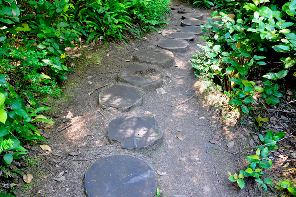 stepping stones