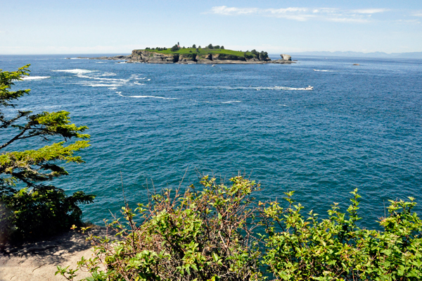 Tatoosh Island