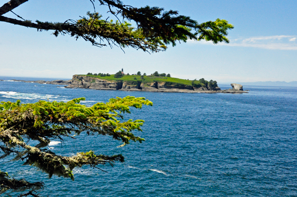 Tatoosh Island