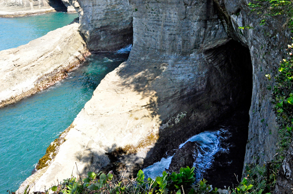 the Sea Caves at Cape Flattery