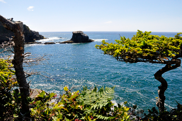 Cape Falttery, Neah Bay