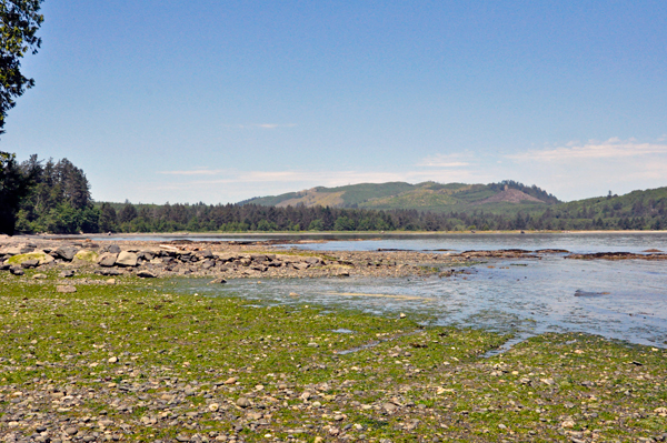 Pillar Point County Park - Clallam County