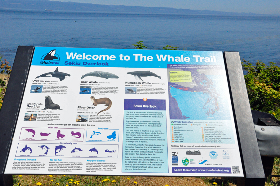 sign about the Whale Trail