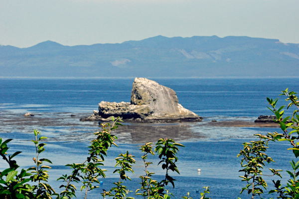 rocks at Cape Flattery