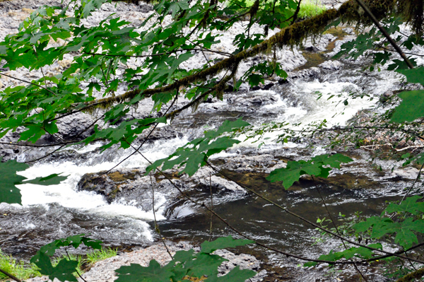 Rainbow Falls, better known as rapids