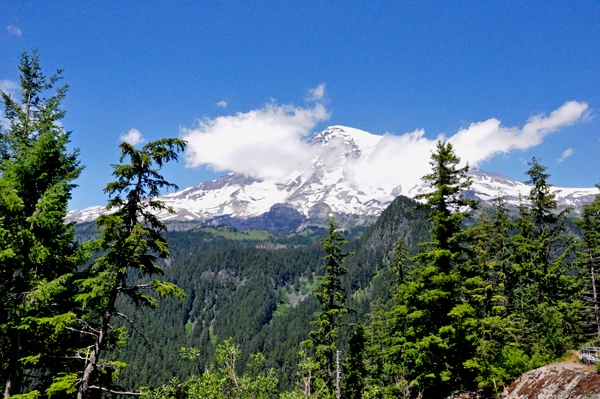 Mount Rainier 