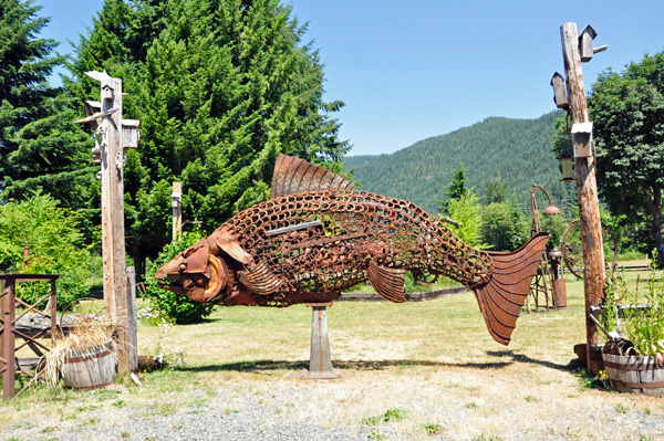 a big fish