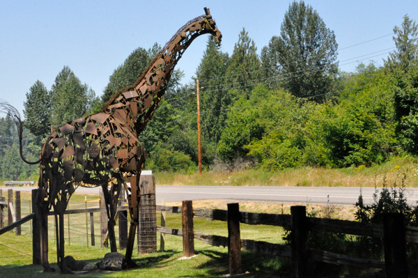 giraffe