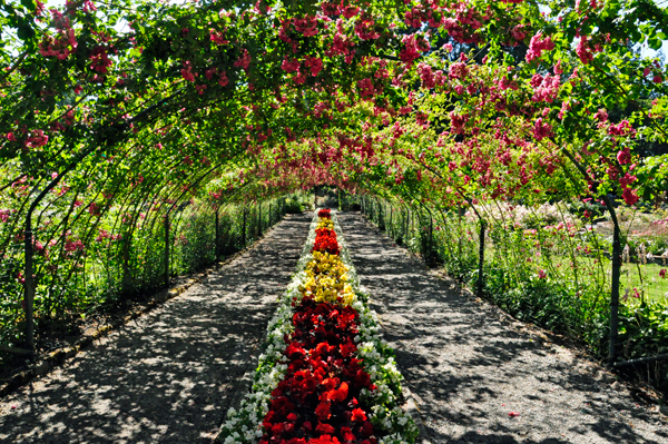 entry to the Rose Gardens