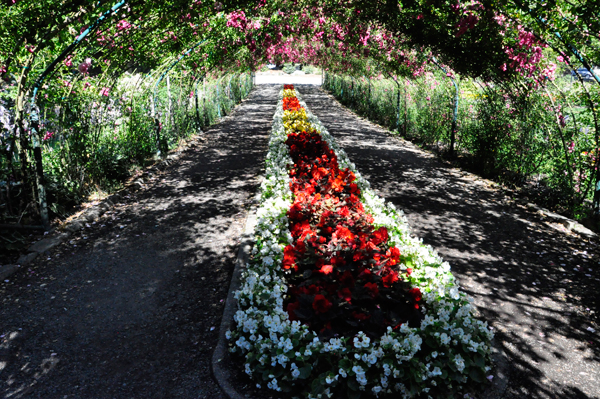 exiting the the Rose Gardens