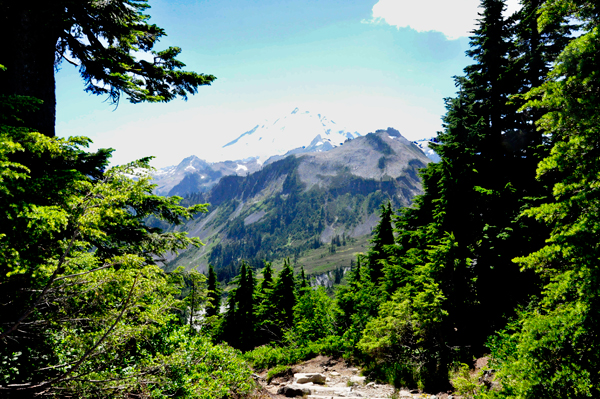 Mount Baker