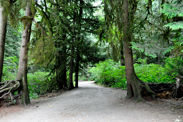 the trail to Bridal Veil Falls