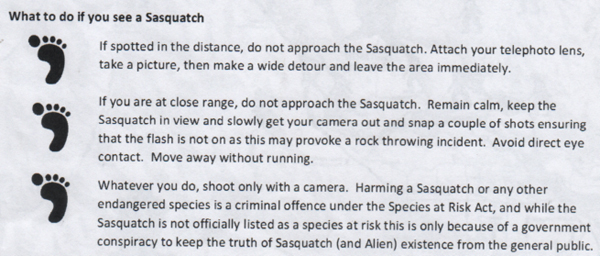 Sasquatch encounters