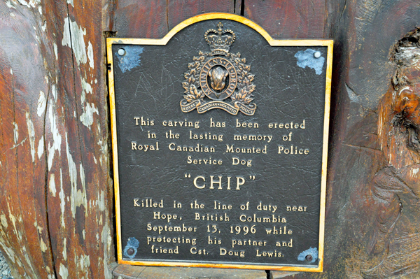 plaque for Chip the dog