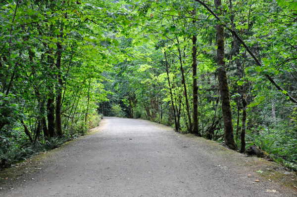 the beginning path to the Quintette Tunnels 