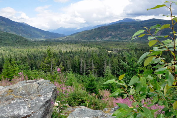 scenery at Whsitler's RV Park