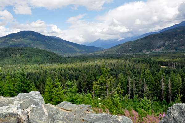 scenery at Whsitler's RV Park