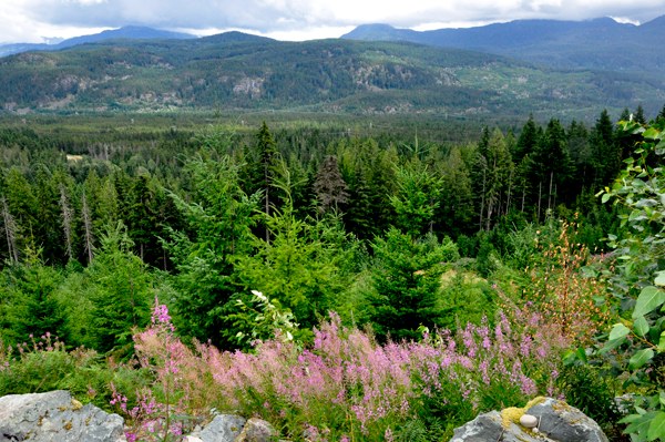 scenery at Whsitler's RV Park