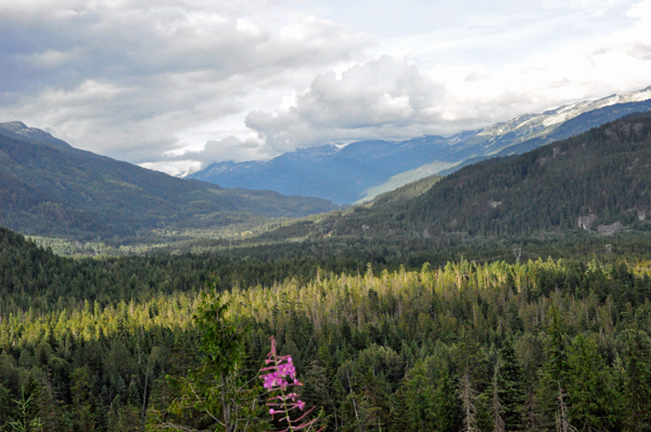 scenery at Whsitler's RV Park