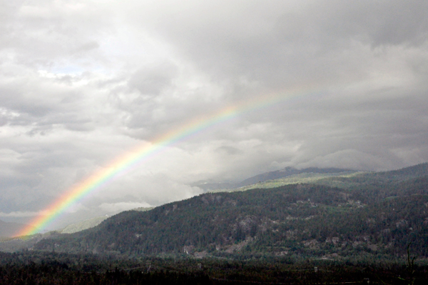 rainbow