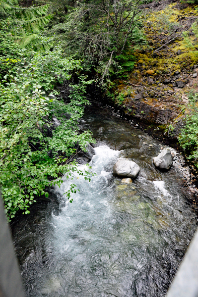 view from covered bridge