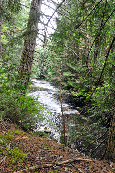 flow from the falls