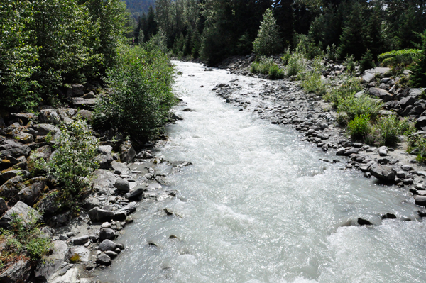 view from the bridge