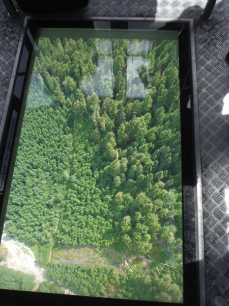 scenery through the glass bottom gondola