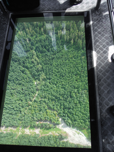 scenery through the glass bottom gondola