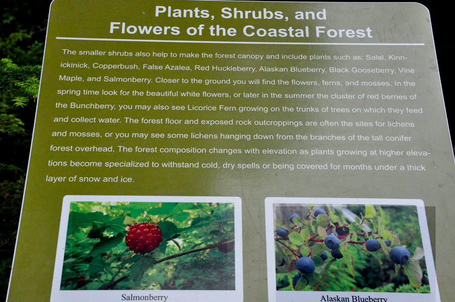 sign: plants in the area