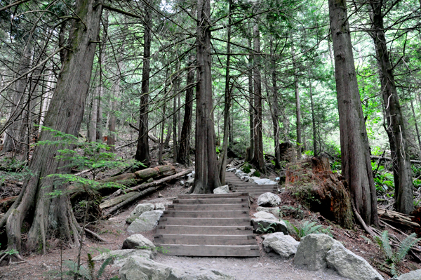 Stairs and a short trail