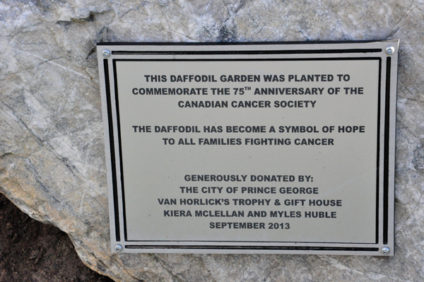 Daffodil Garden Plaque