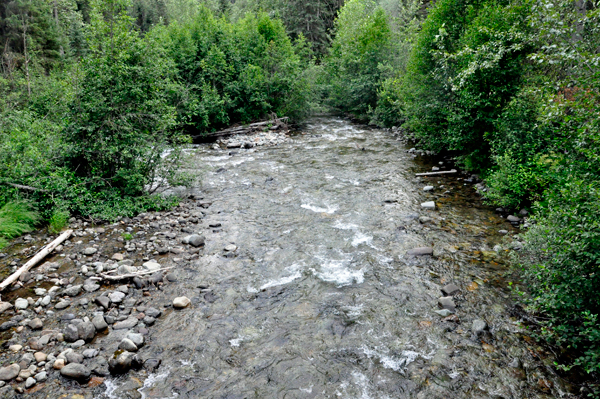 Driftwood Creek as seen from the bridge