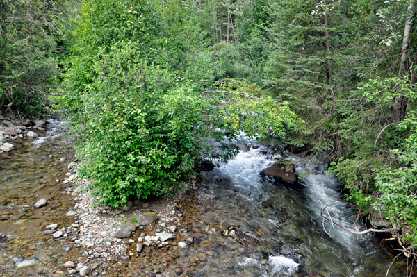 Driftwood Creek