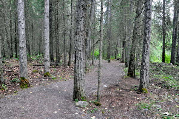 the trail to the fossil beds